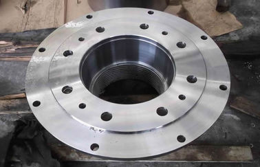 मरोड़ प्रतिरोध जाली इस्पात flanges / DN300 इलेक्ट्रिक पावर के लिए संयुक्त Flanges गोद
